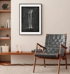 Codex Anatomicus Skull & Skeleton^Tibia & Fibula - Chalkboard