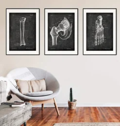 Codex Anatomicus Skull & Skeleton^Tibia & Fibula - Chalkboard