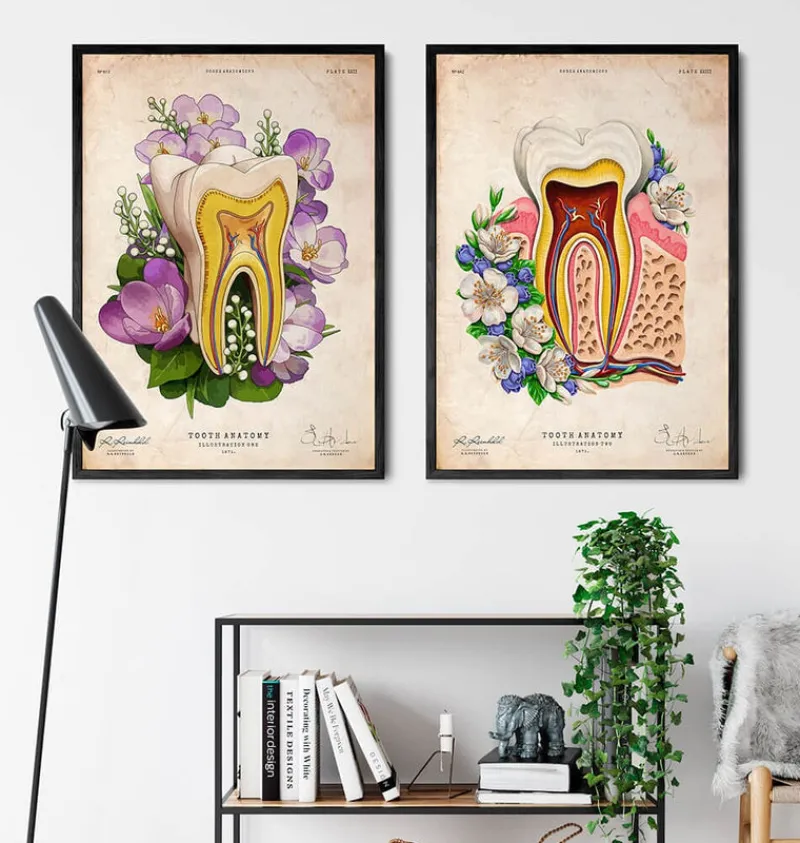 Codex Anatomicus Dental Anatomy^Tooth anatomy - Floral - Vintage