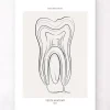 Codex Anatomicus Dental Anatomy^Tooth anatomy - Line Art