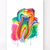 Codex Anatomicus Dental Anatomy^Tooth anatomy art - Watercolor splash