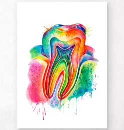 Codex Anatomicus Dental Anatomy^Tooth anatomy art - Watercolor splash