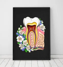 Codex Anatomicus Dental Anatomy^Tooth anatomy II - Floral - Black