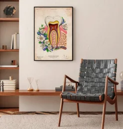 Codex Anatomicus Dental Anatomy^Tooth anatomy II - Floral - Vintage
