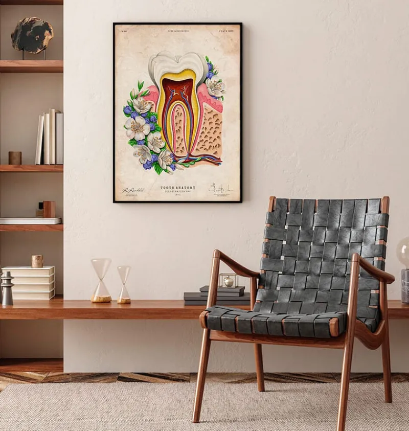 Codex Anatomicus Dental Anatomy^Tooth anatomy II - Floral - Vintage