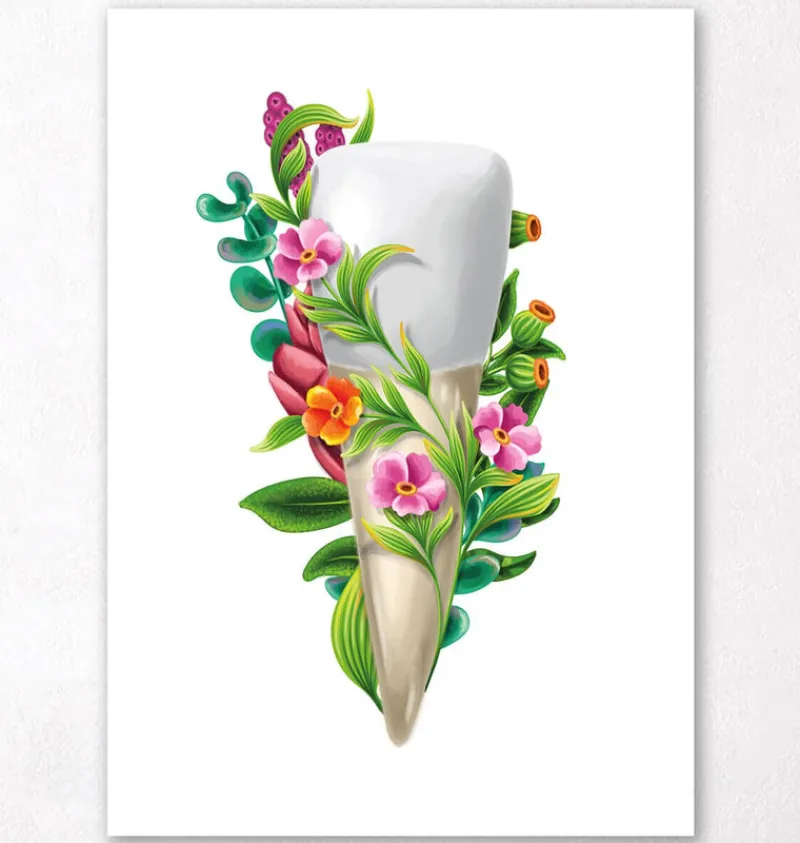 Codex Anatomicus Dental Anatomy^Tooth anatomy III - Floral - White