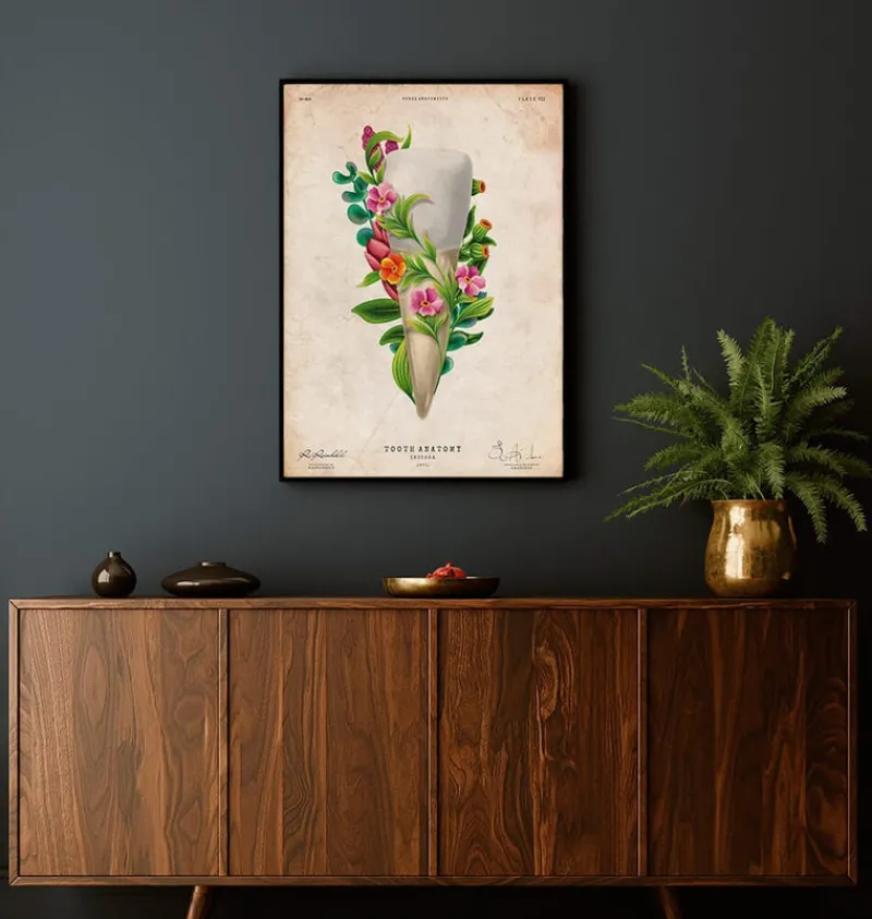 Codex Anatomicus Dental Anatomy^Tooth anatomy III - Floral - Vintage