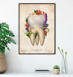 Codex Anatomicus Dental Anatomy^Tooth anatomy IV - Floral - Vintage