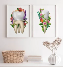 Codex Anatomicus Dental Anatomy^Tooth anatomy IV - Floral - White