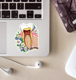 Codex Anatomicus Stickers^Tooth anatomy sticker - Floral