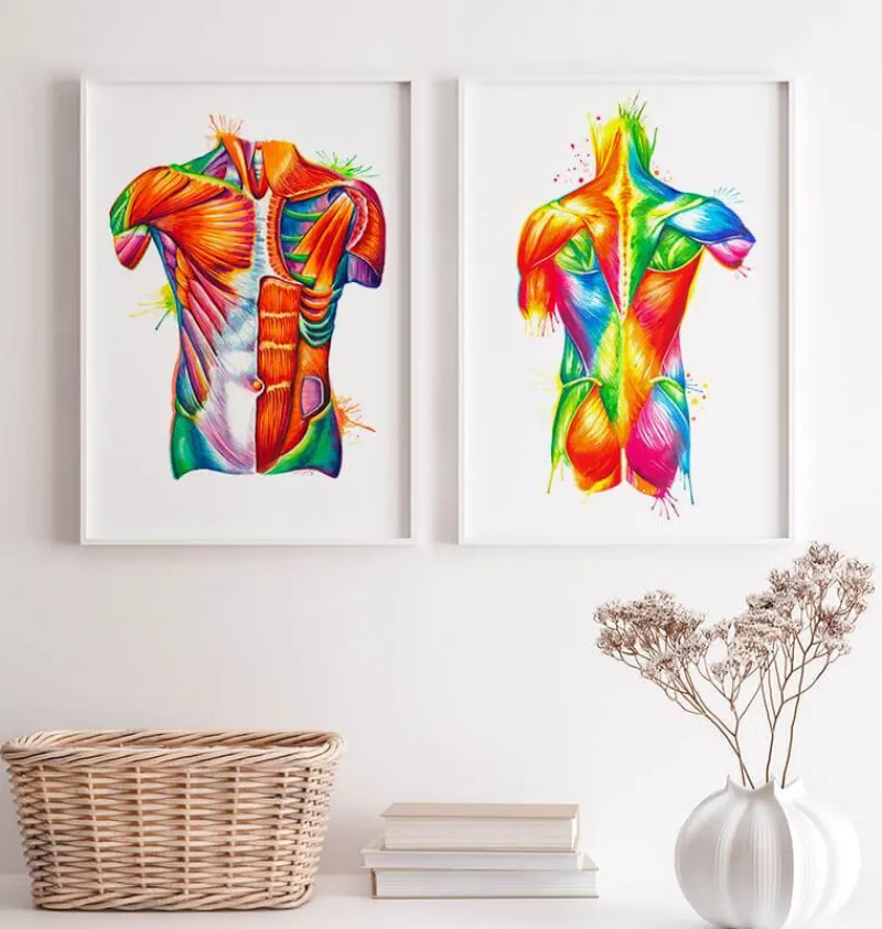 Codex Anatomicus Full Body Anatomy^Torso anatomy art - Watercolor splash
