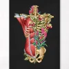 Codex Anatomicus Full Body Anatomy^Torso muscles & bones - Floral - Black