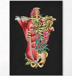 Codex Anatomicus Full Body Anatomy^Torso muscles & bones - Floral - Black
