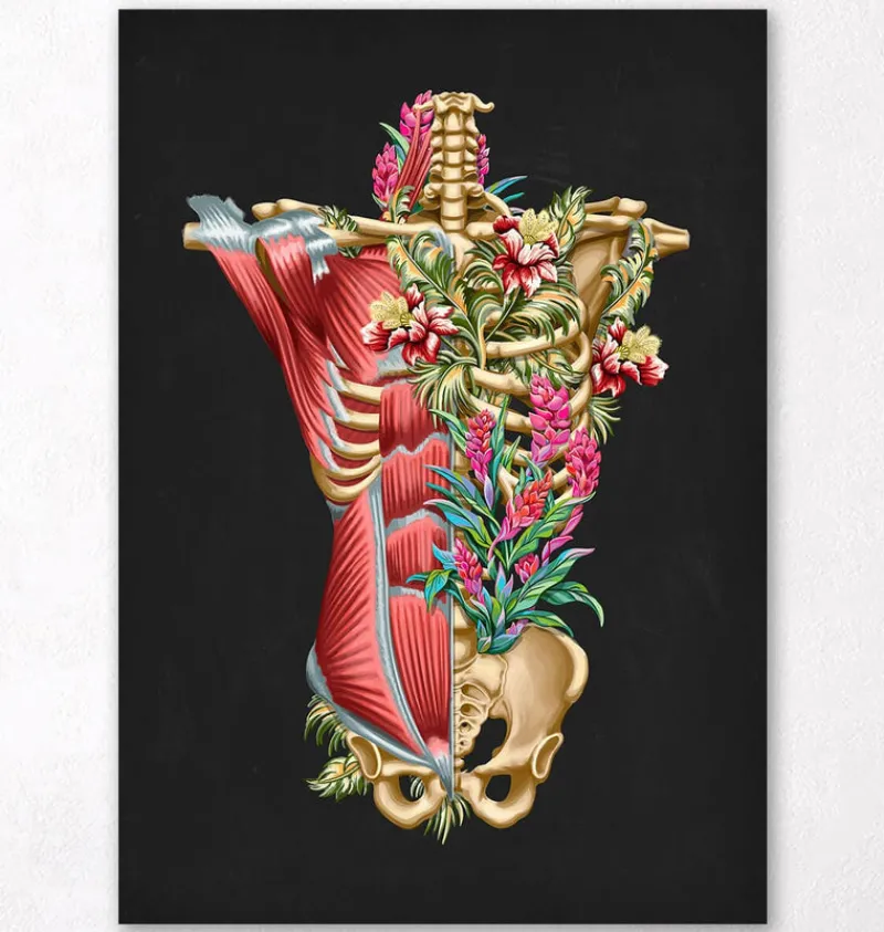 Codex Anatomicus Full Body Anatomy^Torso muscles & bones - Floral - Black