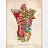 Codex Anatomicus Full Body Anatomy^Torso muscles & bones - Floral - Vintage