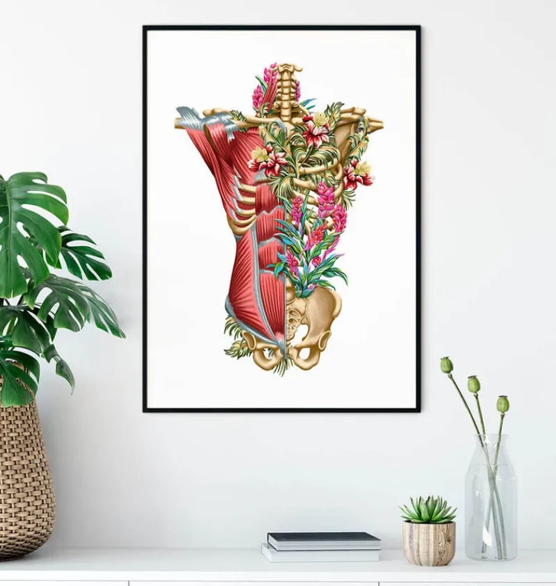 Codex Anatomicus Full Body Anatomy^Torso muscles & bones - Floral - White