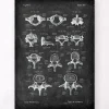 Codex Anatomicus Skull & Skeleton^Types of vertebrae - Chalkboard