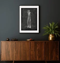 Codex Anatomicus Skull & Skeleton | Hands & Legs^Ulna & Radius - Chalkboard