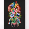 Codex Anatomicus Kidney & Liver^Urinary system - Floral - Black