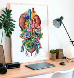 Codex Anatomicus Kidney & Liver^Urinary system - Floral - White