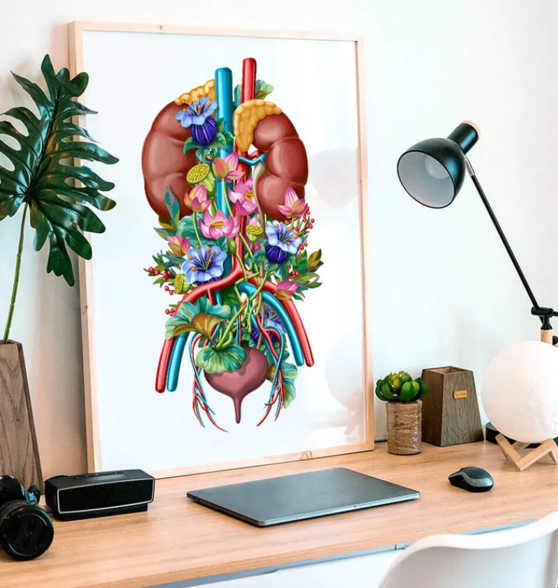 Codex Anatomicus Kidney & Liver^Urinary system - Floral - White