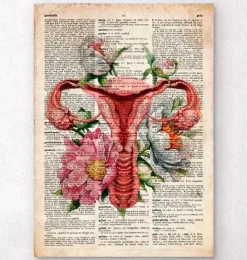 Codex Anatomicus Obstetrics & Gynecology^Uterus anatomy - Floral - Old dictionary