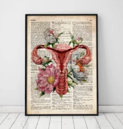 Codex Anatomicus Obstetrics & Gynecology^Uterus anatomy - Floral - Old dictionary