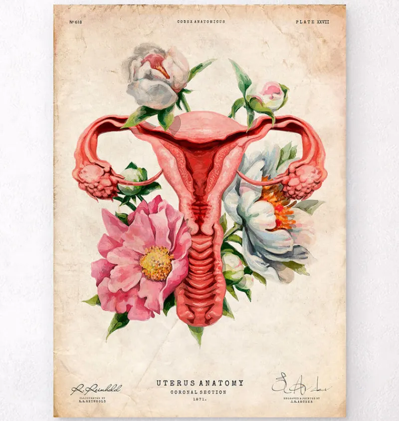Codex Anatomicus Obstetrics & Gynecology^Uterus anatomy - Floral - Vintage