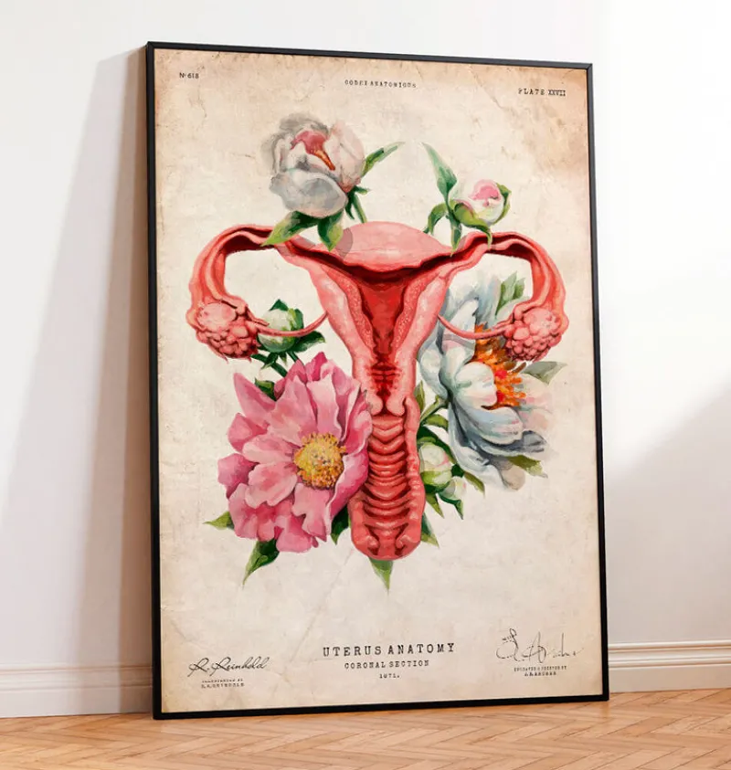 Codex Anatomicus Obstetrics & Gynecology^Uterus anatomy - Floral - Vintage