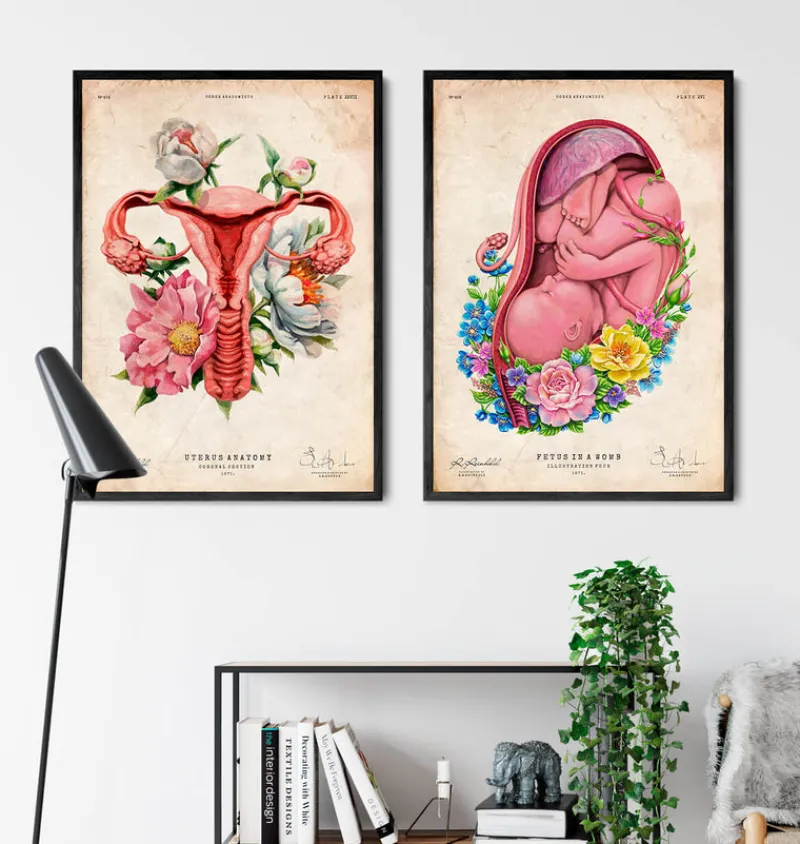 Codex Anatomicus Obstetrics & Gynecology^Uterus anatomy - Floral - Vintage