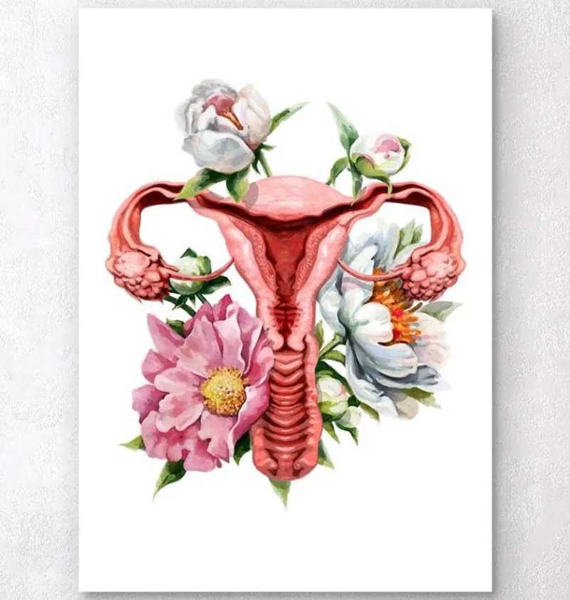 Codex Anatomicus Obstetrics & Gynecology^Uterus anatomy - Floral - White