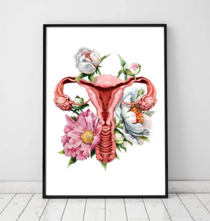 Codex Anatomicus Obstetrics & Gynecology^Uterus anatomy - Floral - White