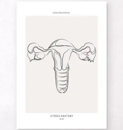 Codex Anatomicus Obstetrics & Gynecology^Uterus anatomy - Line Art