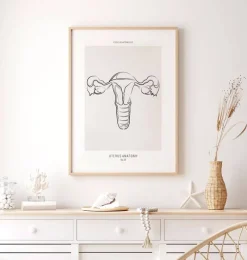Codex Anatomicus Obstetrics & Gynecology^Uterus anatomy - Line Art