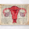 Codex Anatomicus Obstetrics & Gynecology^Uterus anatomy art - Dictionary print