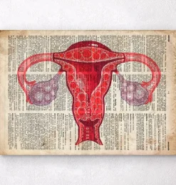 Codex Anatomicus Obstetrics & Gynecology^Uterus anatomy art - Dictionary print