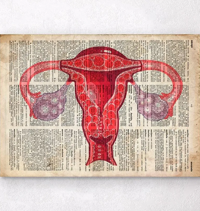 Codex Anatomicus Obstetrics & Gynecology^Uterus anatomy art - Dictionary print