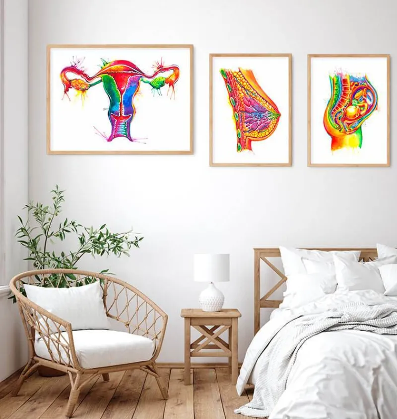 Codex Anatomicus Obstetrics & Gynecology^Uterus anatomy art - Watercolor splash