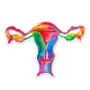 Codex Anatomicus Stickers^Uterus anatomy sticker - Watercolor Splash