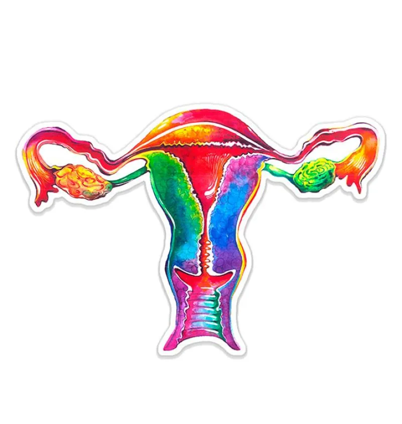 Codex Anatomicus Stickers^Uterus anatomy sticker - Watercolor Splash