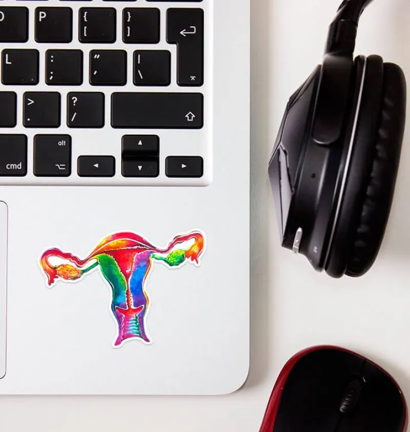 Codex Anatomicus Stickers^Uterus anatomy sticker - Watercolor Splash