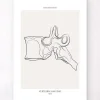 Codex Anatomicus Skull & Skeleton^Vertebrae anatomy - Line Art
