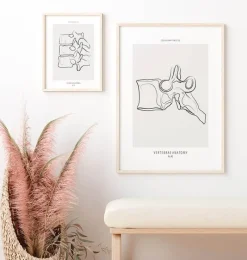 Codex Anatomicus Skull & Skeleton^Vertebrae anatomy - Line Art