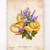 Codex Anatomicus Various Organs^Vestibular system - Floral - Vintage