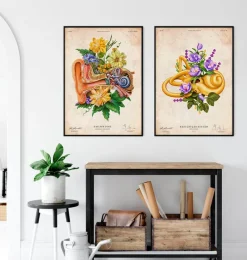 Codex Anatomicus Various Organs^Vestibular system - Floral - Vintage