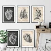Codex Anatomicus Heart Anatomy^Vintage & Chalkboard Heart anatomy - Set of 5