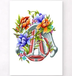 Codex Anatomicus Various Organs^Vocal cords - Floral - White