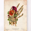 Codex Anatomicus Skull & Skeleton | Hands & Legs^Wrist fracture - Floral - Vintage